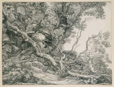 Árvores numa encosta rochosa de Johann Christian Reinhart