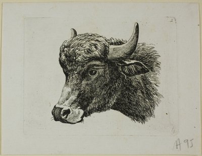Cabeça de búfalo virada para a esquerda, de Die Zweite Thier Folge de Johann Christian Reinhart