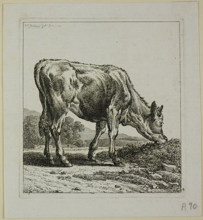 Alimentação de bezerros, de Die Zweite Thiernahme de Johann Christian Reinhart