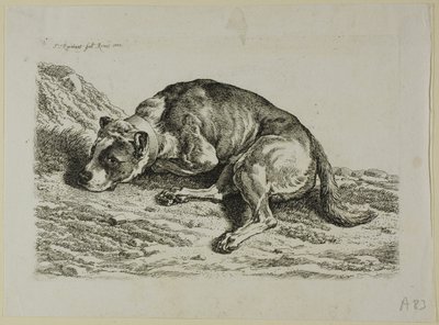 Cachorro Deitado, de A Segunda Sucessão do Ladrão de Johann Christian Reinhart