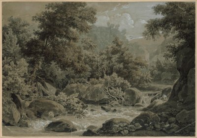 Paisagem montanhosa e florestal, com um ribeiro em primeiro plano de Johann Christian Reinhart