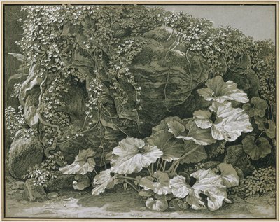 Plantas de folhas grandes junto a uma gruta rochosa coberta de hera de Johann Christian Reinhart