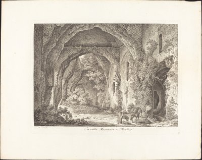 Na Vila Mecenate de Johann Christian Reinhart