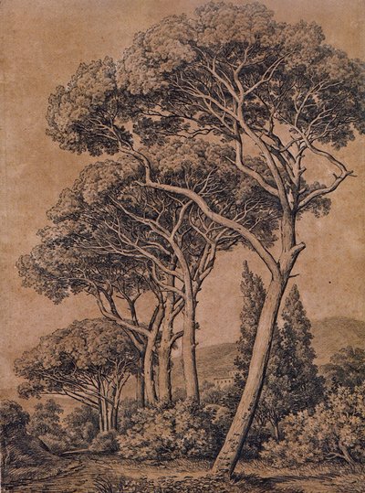 J C Reinhart Pinheiros mansos 1791 de Johann Christian Reinhart