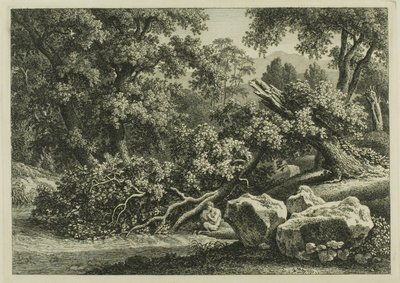 Paisagem com Pan tocando uma flauta de Johann Christian Reinhart