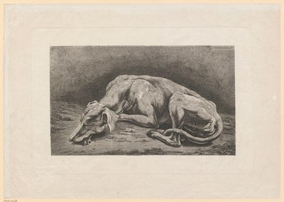 Galgo adormecido de Johann Christian Reinhart