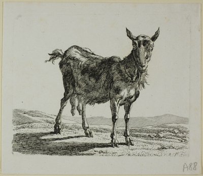 Cabra em pé, de Die Zweite Thiernahme de Johann Christian Reinhart