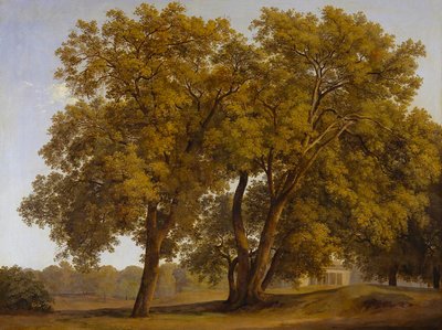  de Johann Christian Reinhart