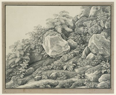 Estudo de primeiro plano: rochedos, arbustos, fetos e plantas de folhagem de Johann Christian Reinhart