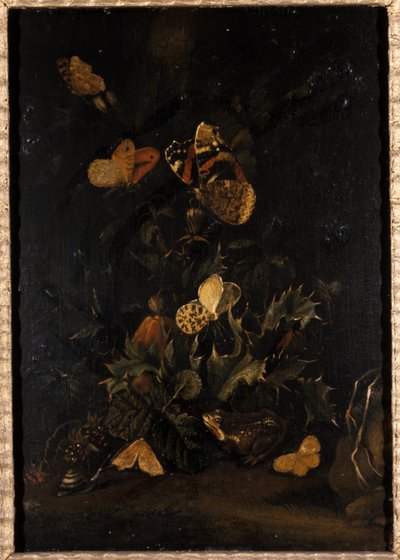 Flores com borboletas e sapo (óleo sobre madeira de carvalho) de Johann Christian Thomas Winck