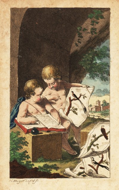 Dois jovens ornitólogos estudando as impressões das aves de Johann Conrad Kruger