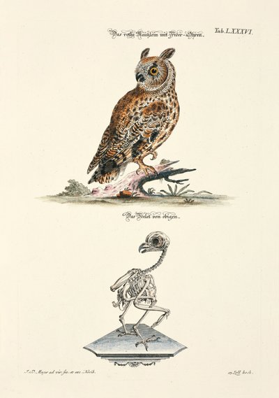  de Johann Daniel Meyer