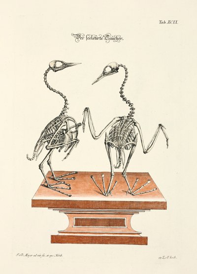  de Johann Daniel Meyer