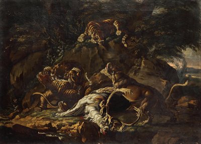  de Johann Elias Ridinger