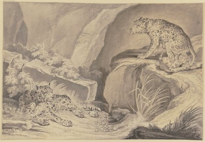  de Johann Elias Ridinger