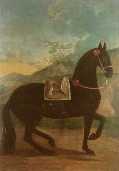 Um cavalo preto ostentando uma sela espanhola de Johann Georg Hamilton