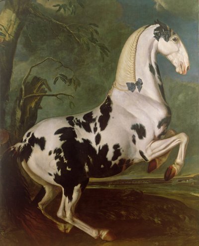 O garanhão malhado no garanhão Eisgruber de Johann Georg Hamilton