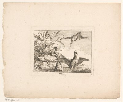 Paisagem com seis patos Pássaros em paisagens (título da série) de Johann Georg Hertel (I) (possibly)