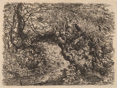 Um velho salgueiro perto de um córrego, 1793. de Johann Georg von Dillis