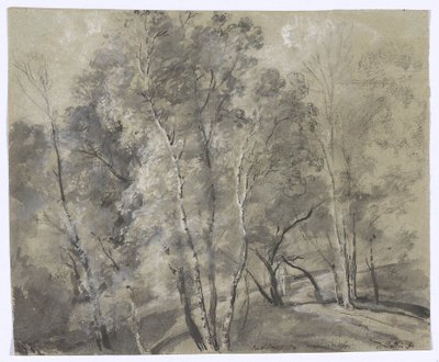 Árvores de folha caduca numa encosta de Johann Georg von Dillis