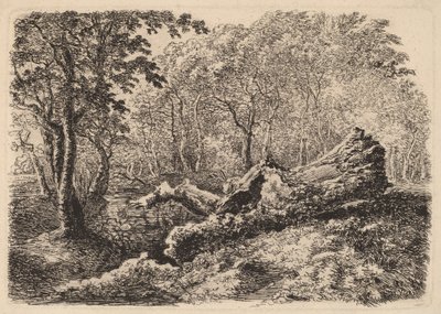 Mouldering Tree Trunk, 1794. de Johann Georg von Dillis