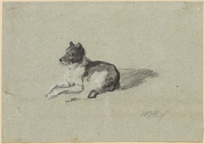 Dois estudos com cães de Johann Georg von Dillis