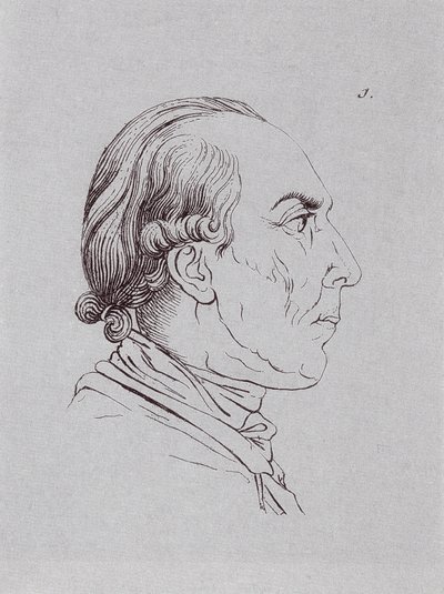 HUBrennwaldi de Johann Heinrich Lips