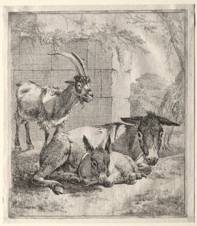 cabra e burro de Johann Heinrich Roos