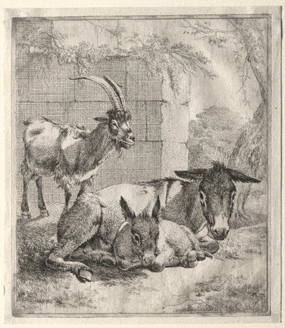 Cabra e burros. de Johann Heinrich Roos