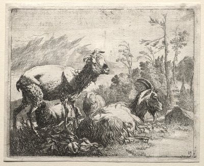 Cabras, 1665. de Johann Heinrich Roos