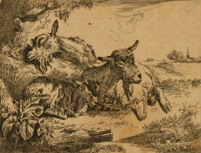 Duas cabras e um cabrito de Johann Heinrich Roos