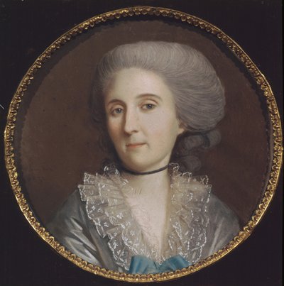 Retrato da princesa Natalya Vladimirovna Saltykova 1737-1812, 1784 de Johann Heinrich Schmidt