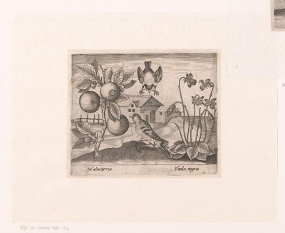 Série de gravuras com Flores e Animais numa Paisagem
Paisagem com plantas cítricas, aves e violetas
Paisagens com animais, plantas e flores (título da série) de Johann Hogenberg
