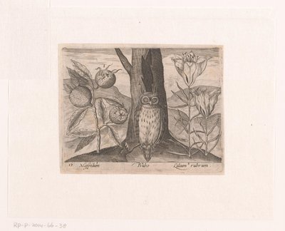 Série de gravuras com Flores e Animais numa Paisagem
Paisagem com medlar, lírio e coruja
Paisagens com animais, plantas e flores (título da série) de Johann Hogenberg