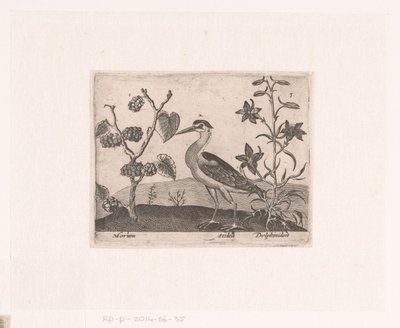 Série de gravuras com flores e animais em uma paisagem Paisagem com garça e espora Paisagens com animais, plantas e flores (título da série) de Johann Hogenberg