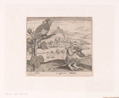 Série de gravuras com flores e animais em uma paisagem Paisagem com figueira e macaco Paisagens com animais, plantas e flores (título da série) de Johann Hogenberg