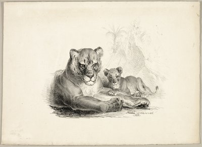 Leão com filhotes de Johann Höchle