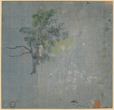 Estudos de Árvores (verso) de Johann Jacob Dorner