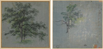 Duas Árvores (reto) Estudos de Árvores (verso) de Johann Jacob Dorner