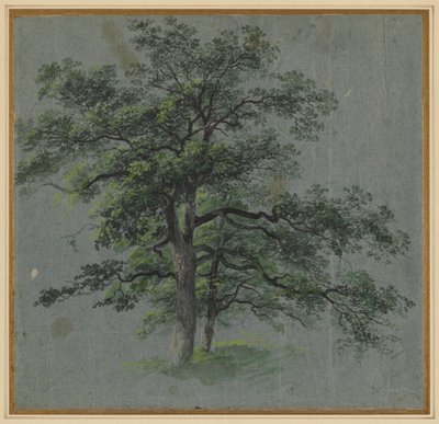 Duas árvores recto Tree Studies verso, primeira metade de 1800s. de Johann Jacob Dorner