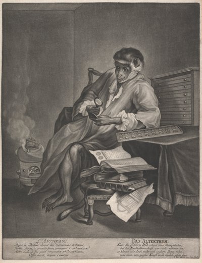 O Antiquário de Johann Jacobus Haid