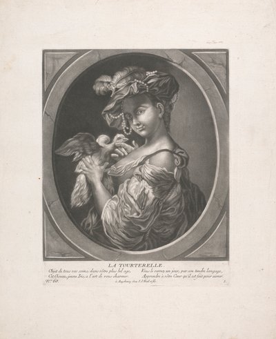A Pomba Tartaruga de Johann Jacobus Haid