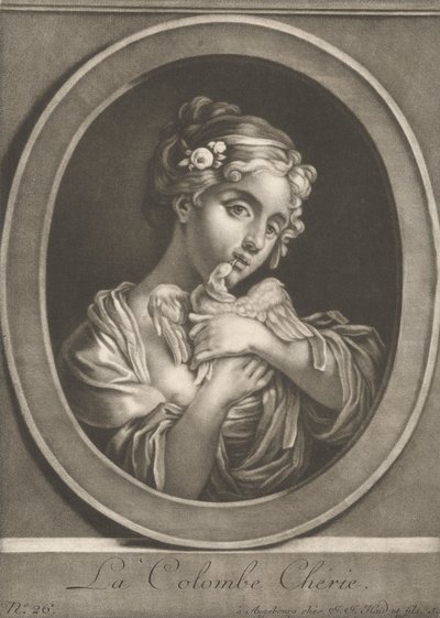 A pomba amada de Johann Jacobus Haid