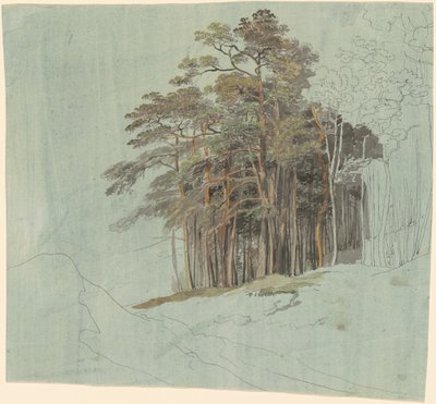 Um estudo de pinheiros de Johann Jakob Dorner the younger