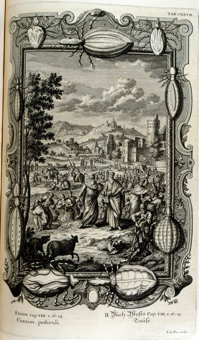 Praga de piolhos e mosquitos de Johann Jakob Scheuchzer