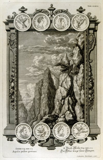 Zeus simbolizado como uma águia de Johann Jakob Scheuchzer