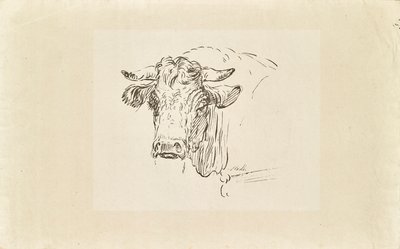 Cabeça de touro de Johann Josef Schindler