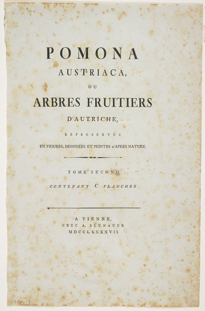 Página de título de &39;Pomona Austriaca, ou árvores frutíferas da Áustria&39;, 1787-96 (impressão) de Johann Kraft