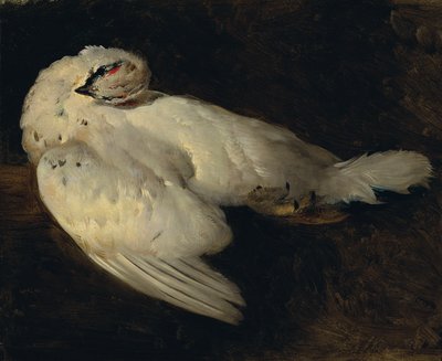 Tarmigão morto de Johann Matthias Ranftl
