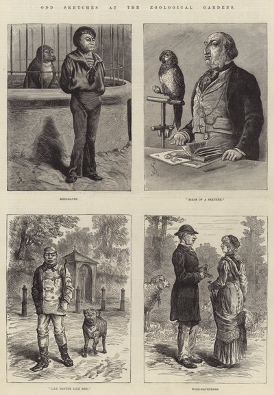 Esboços estranhos nos jardins zoológicos de Johann Nepomuk Schonberg